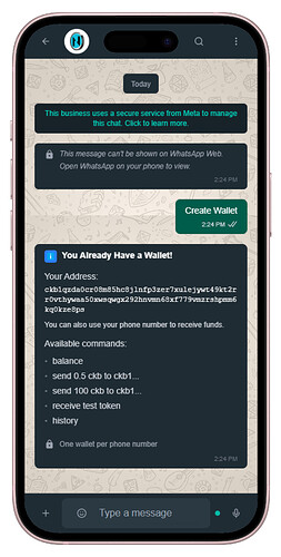 screencapture-v0-whatsapp-interface-clone-vercel-app-2025-11-10-19_30_56-portrait
