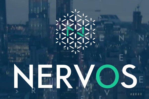 Nervos logo