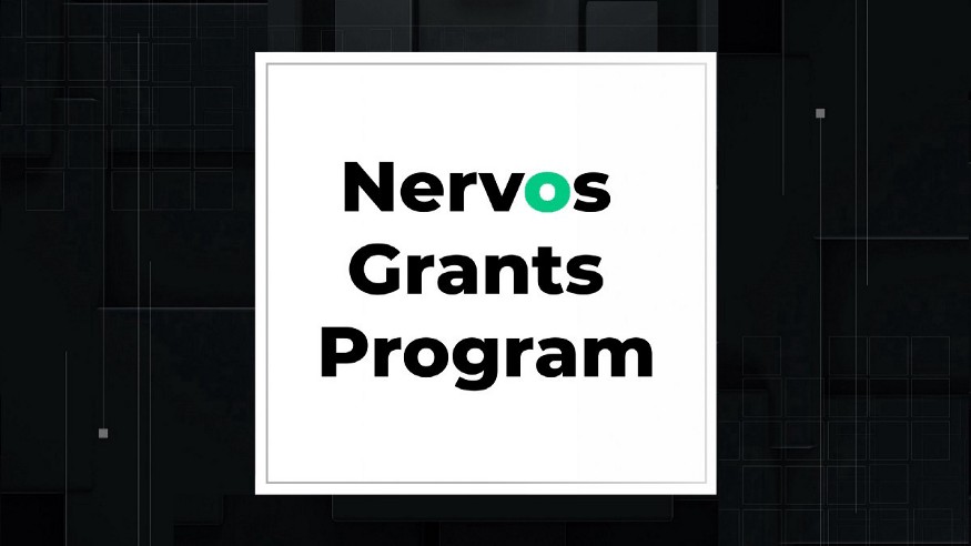 imagen-nervos-grants