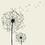 compasses