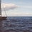 LittleBoat