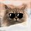 RGBCat_Keith